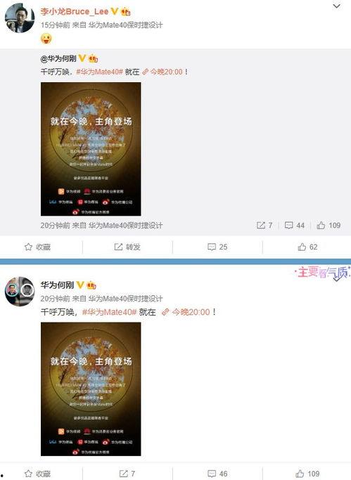向靖爆料视频大全最新版,揭秘娱乐圈不为人知的秘密